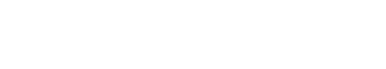 WP Portfolio 文档